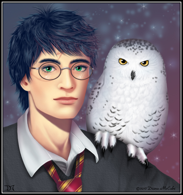 Harry and Hedwig